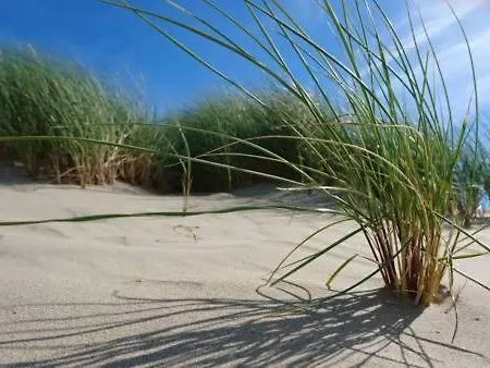 Abc Blankenberge